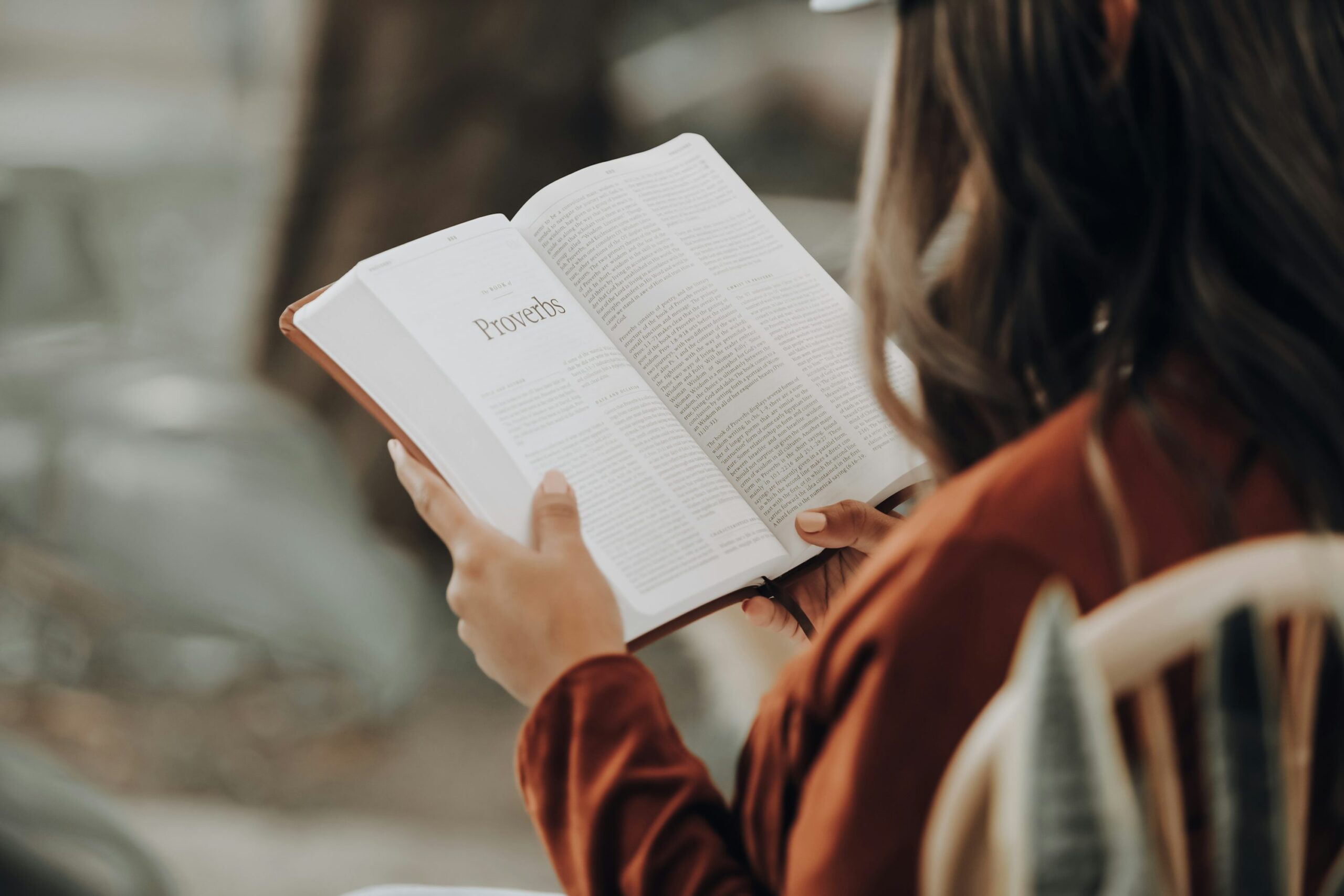 bible reading plan